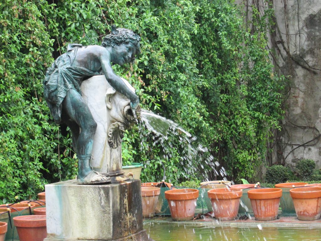 Joven Baco/Young Bacchus