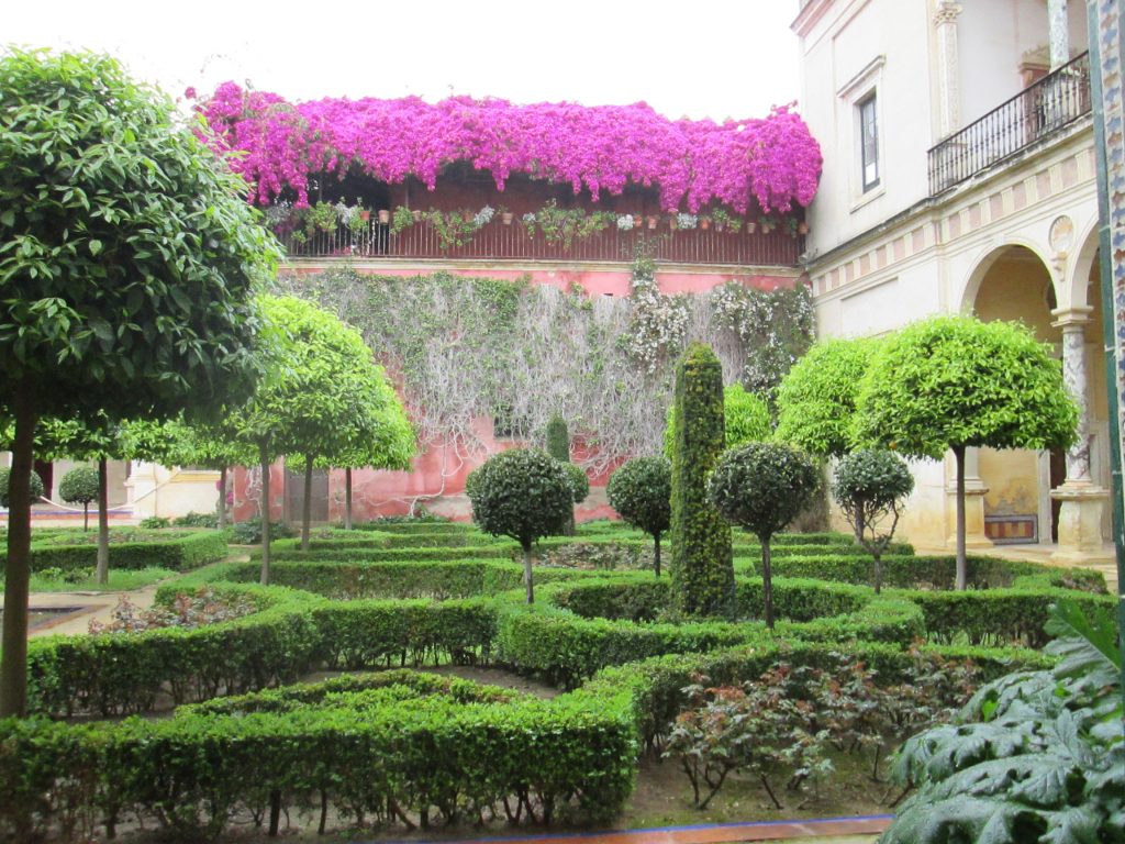 Jardín grande/Big garden