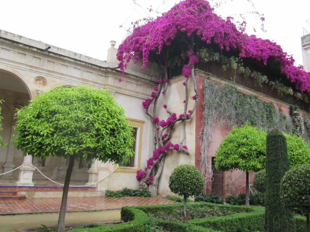 Jardín grande/Big garden