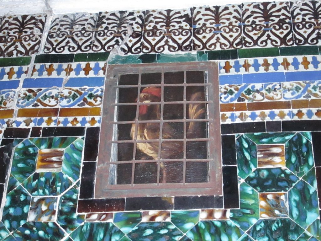 Un gallo/ A rooster